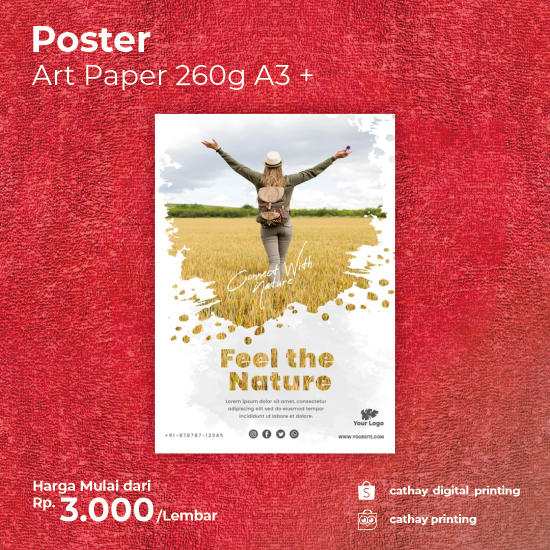 Art Paper 260gr A3+