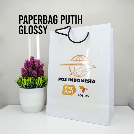 Paper Bag Glossy (10X20X28cm) 