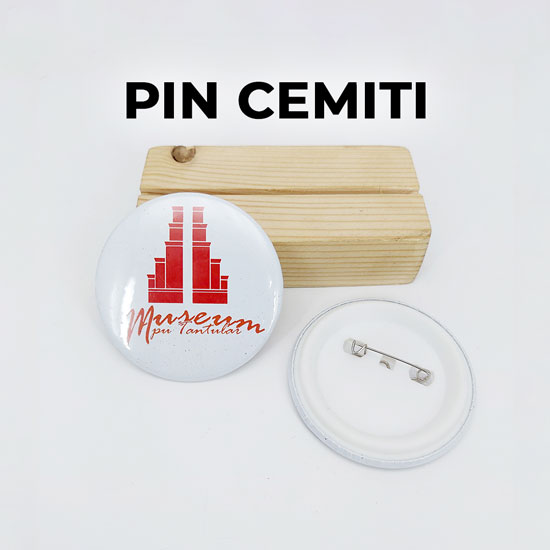 Pin